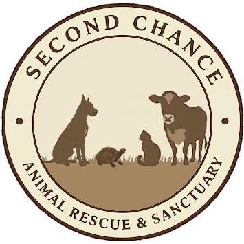 Second Chance Animal Rescue & Sanctuary